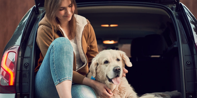 Moving House with Pets: The Ultimate Guide to a Stress-Free Move